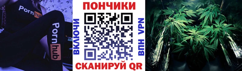 Канабис сатива Купить Соль-Илецк